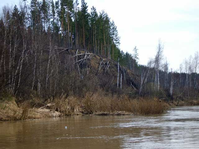 Фото Яндекс.Картинки.