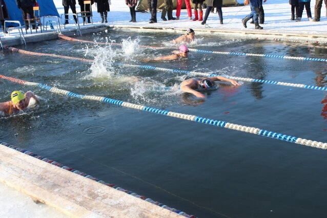 Фото: АиФ/ Никита Иванов