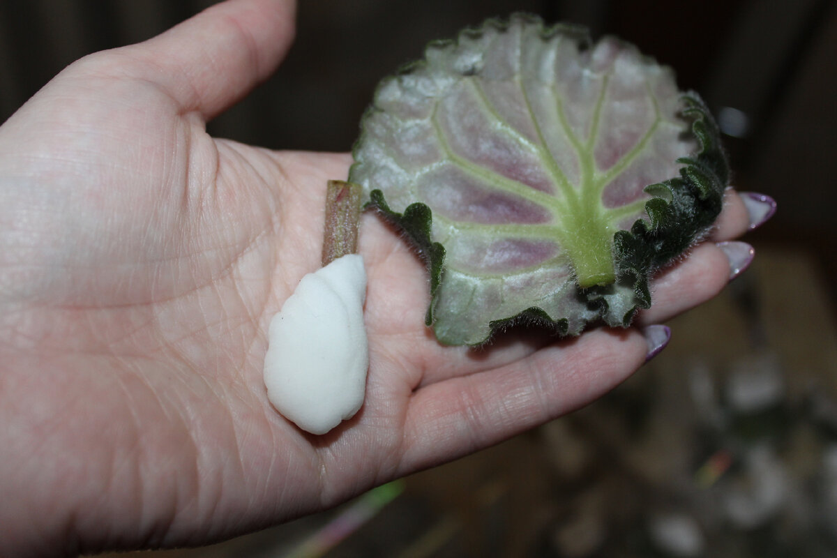 Лист сломался при транспортировке