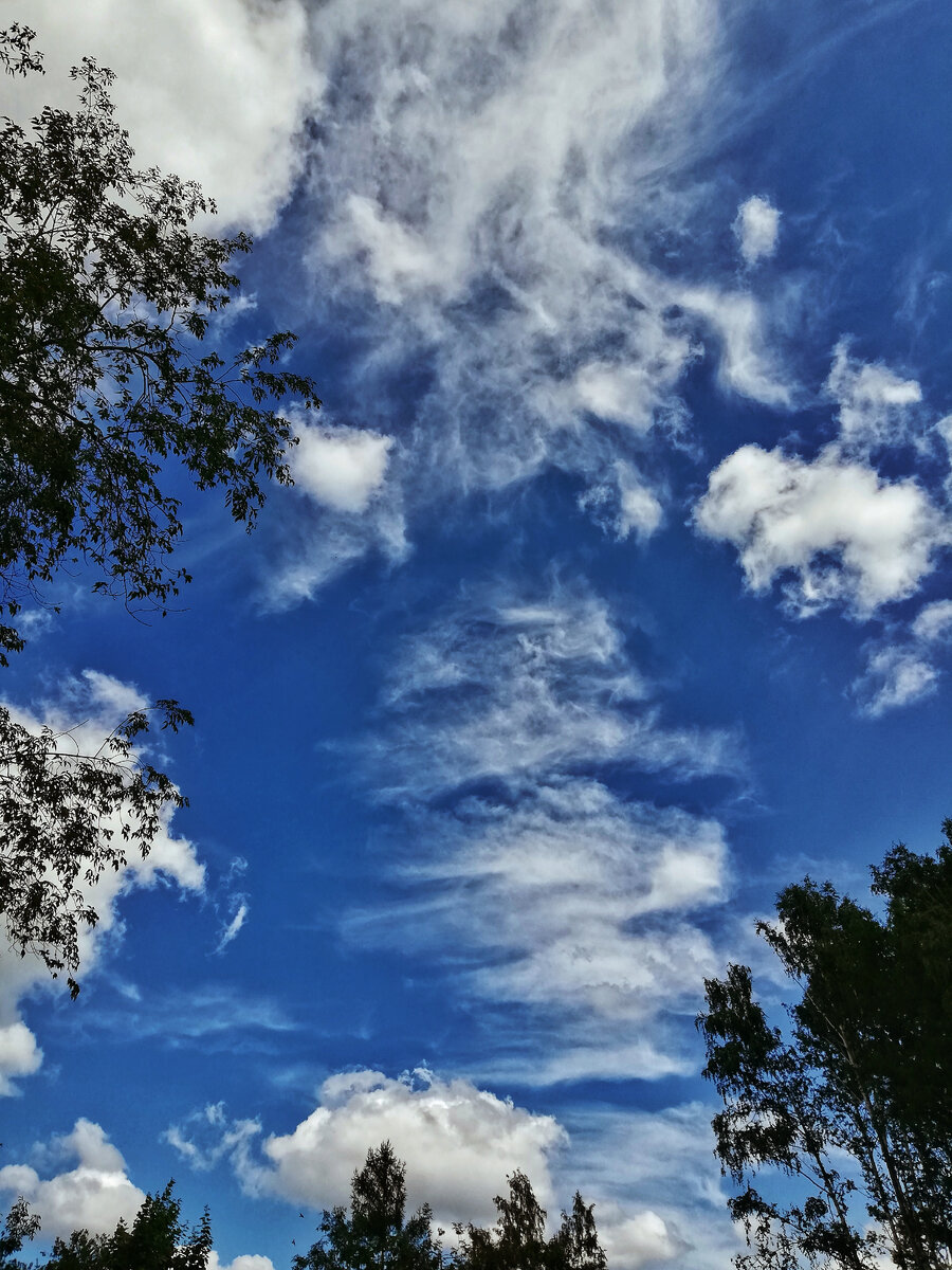 Светлое будущее. 