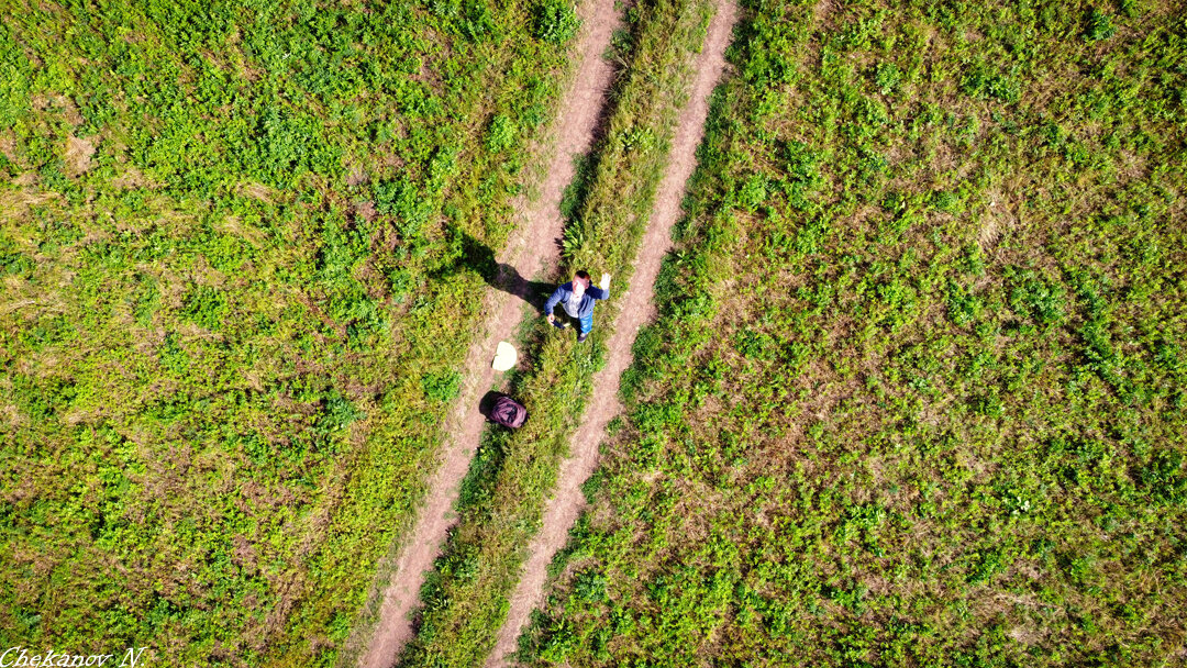 Выбираем направление
