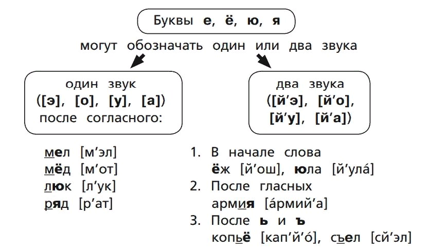 Клен два звука