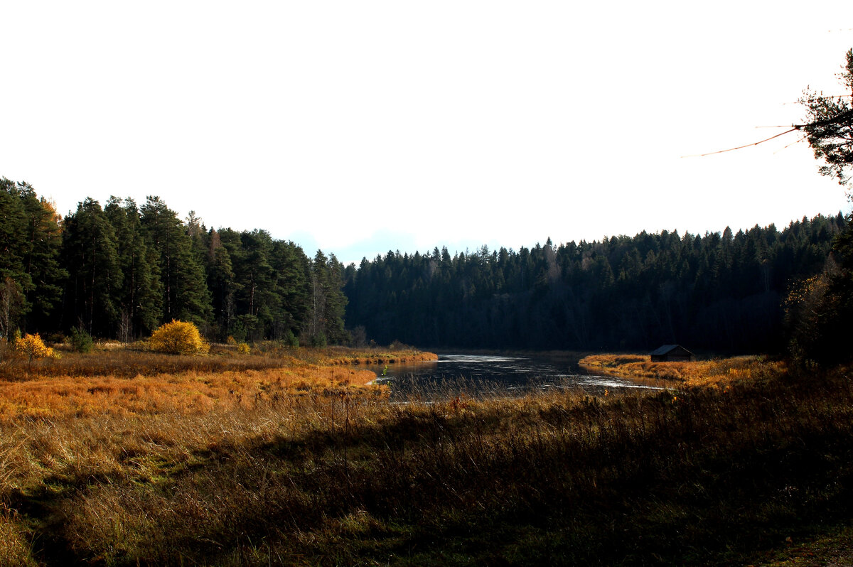 фото сделано в усадьбе "Василёво"