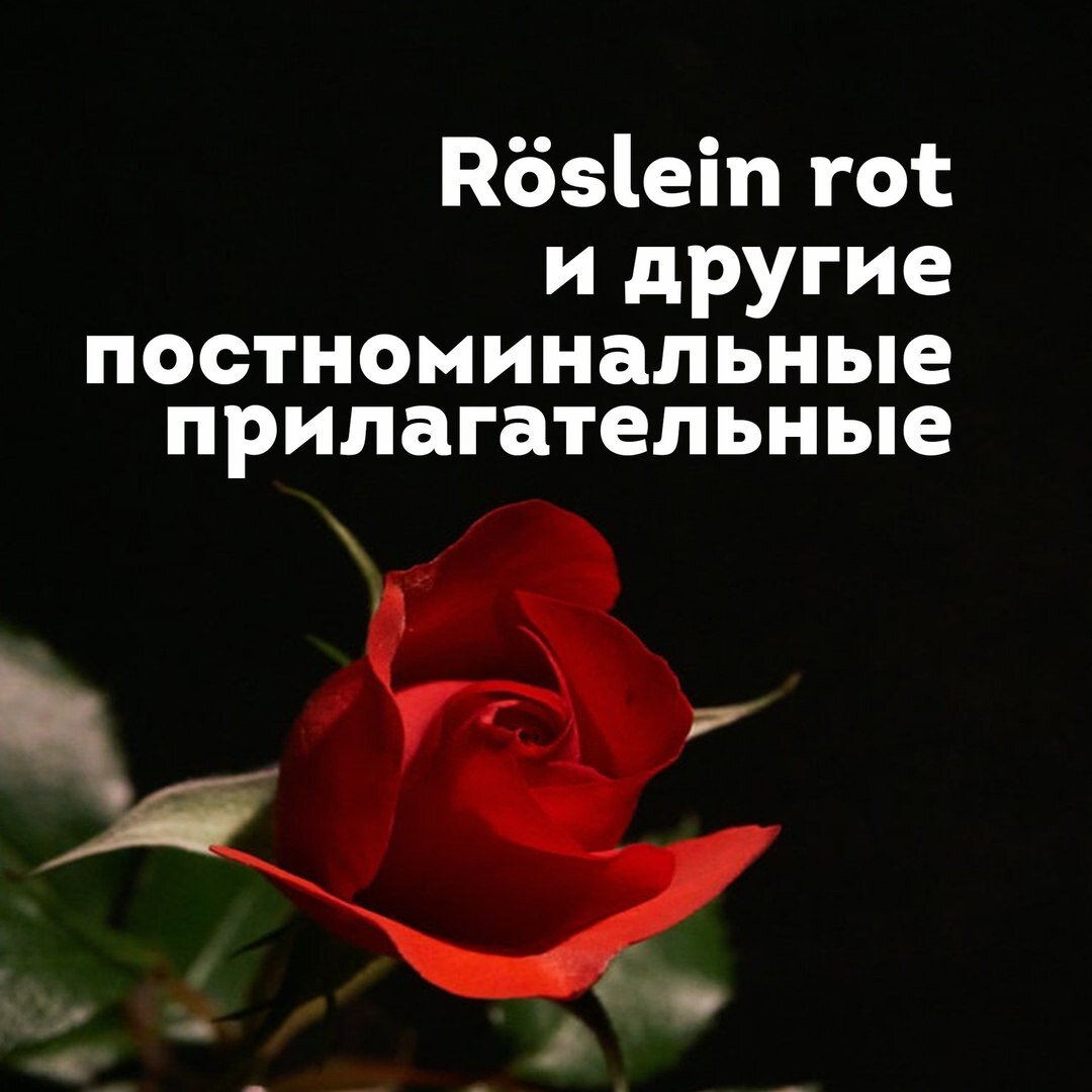 Что такое постноминальные прилагательные? Интересные немецкие прилагательные