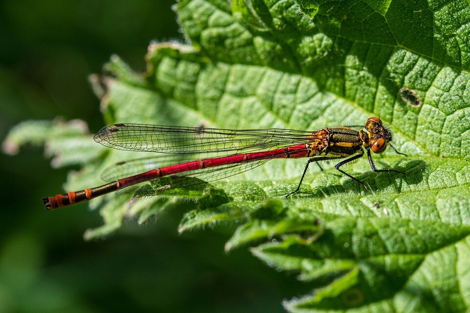 фото взято из открытых источников