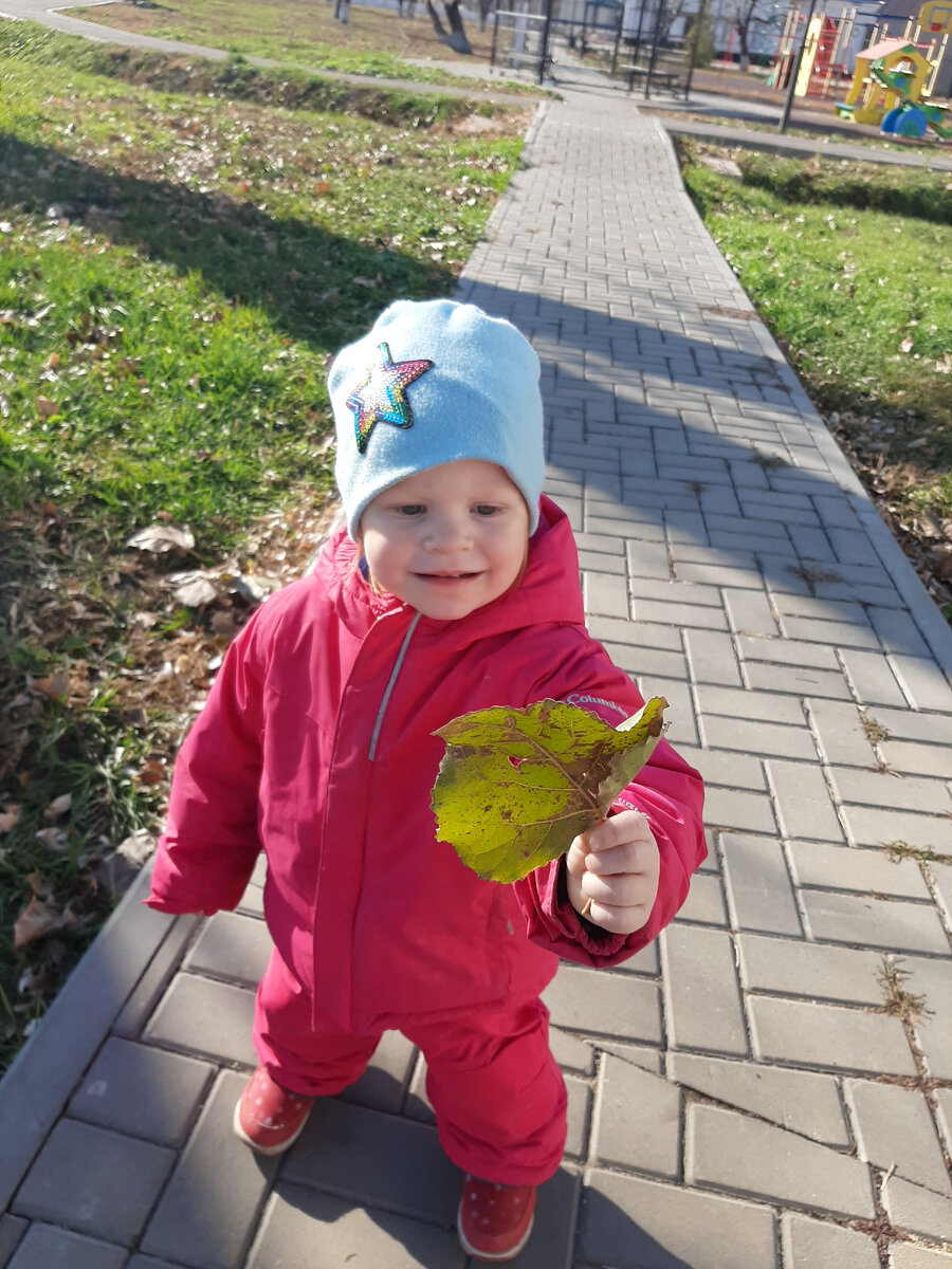 Прогулка у нас на спортивной площадке