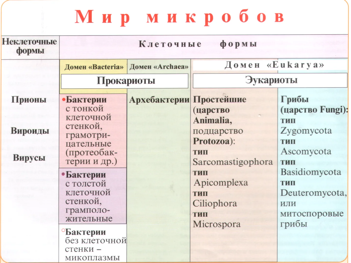 Основные формы бактерий таблица Физиология микробов
