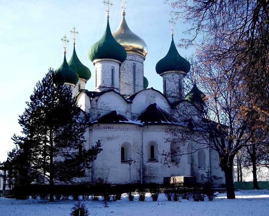 Спасо-Евфимиев монастырь