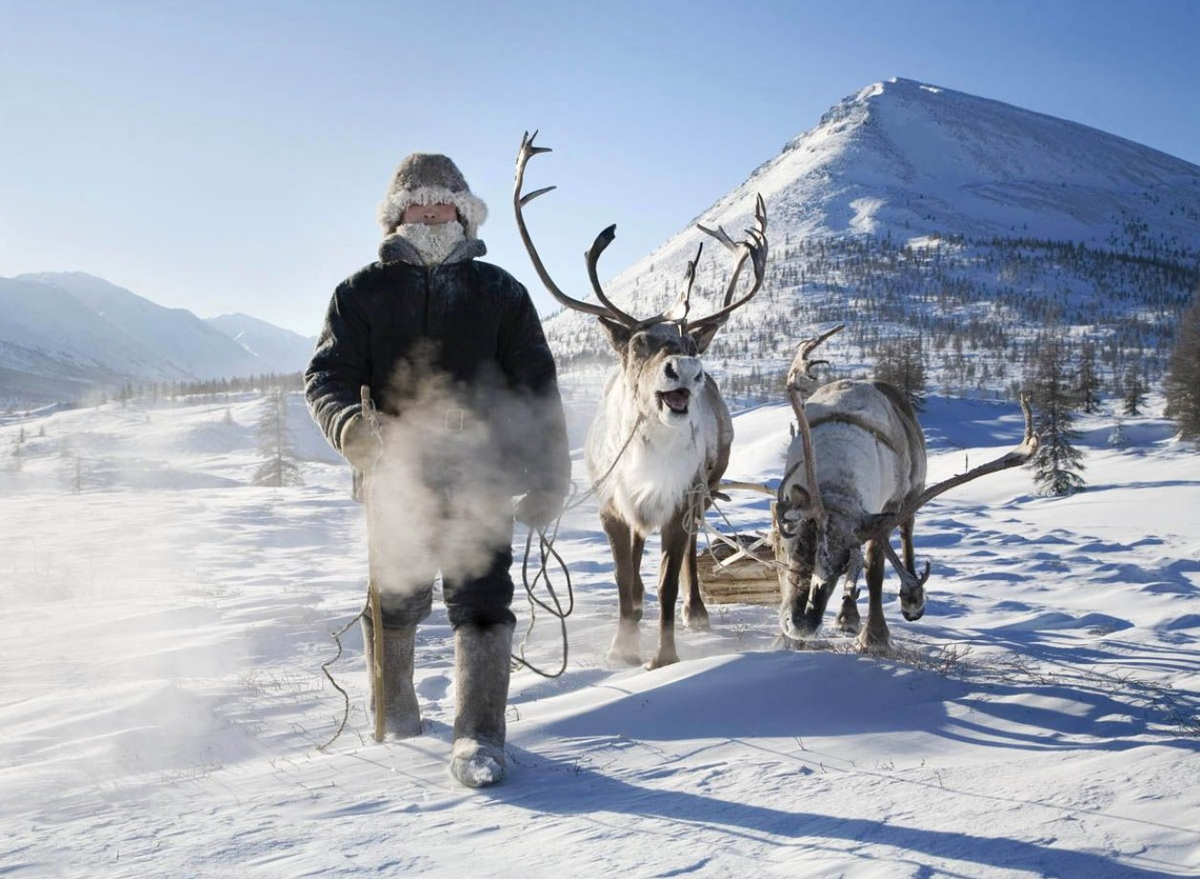  Источник фото: Pinterest