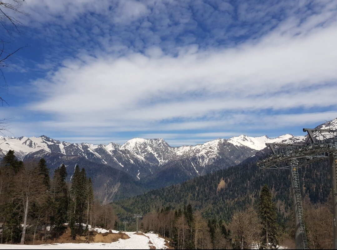 Лес, снег, самобытность