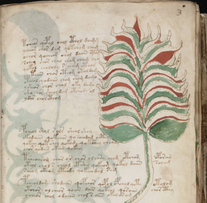 Одна из первых страниц книги с иллюстрацией