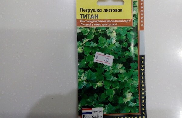 В рамках подготовки к новому сезону