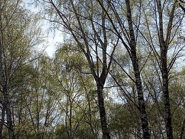 Фотография из личного архива автора