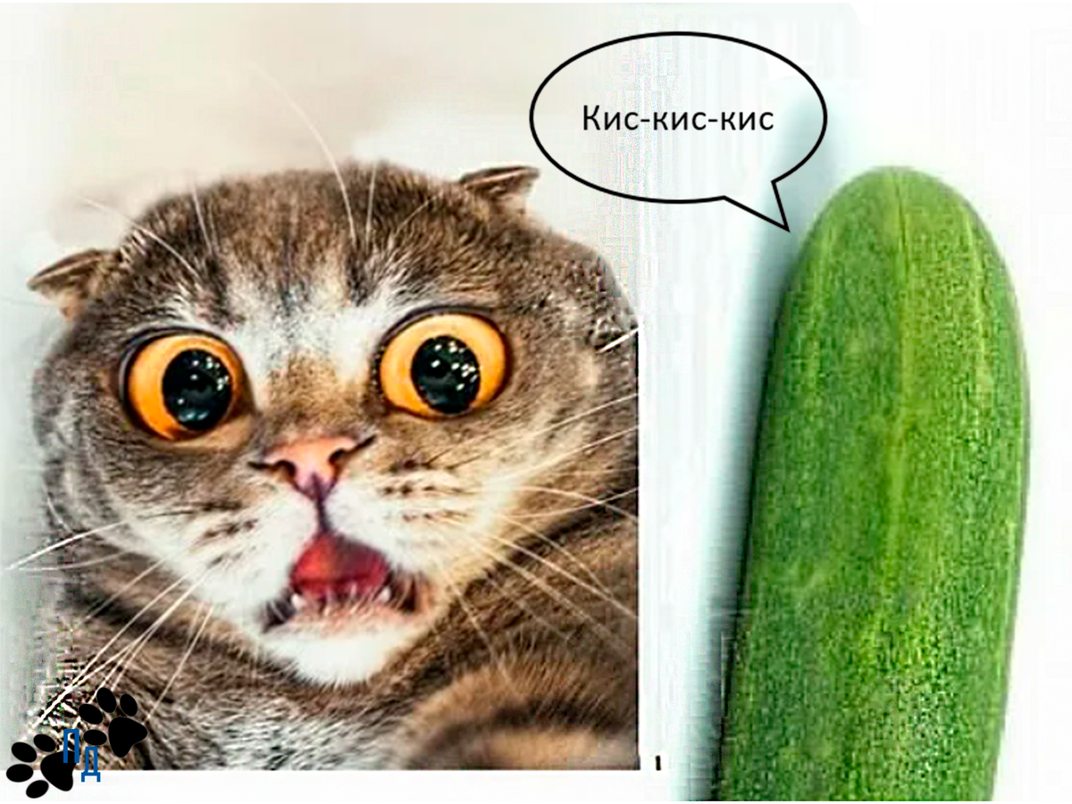 Отсылка к фильму "Сияние" Стивена Кинга