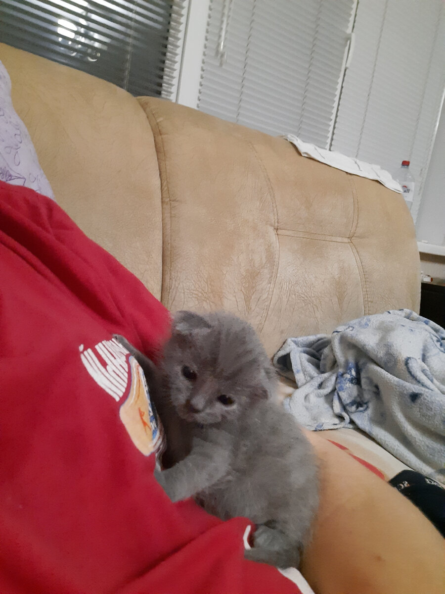 Мартину 2 недели