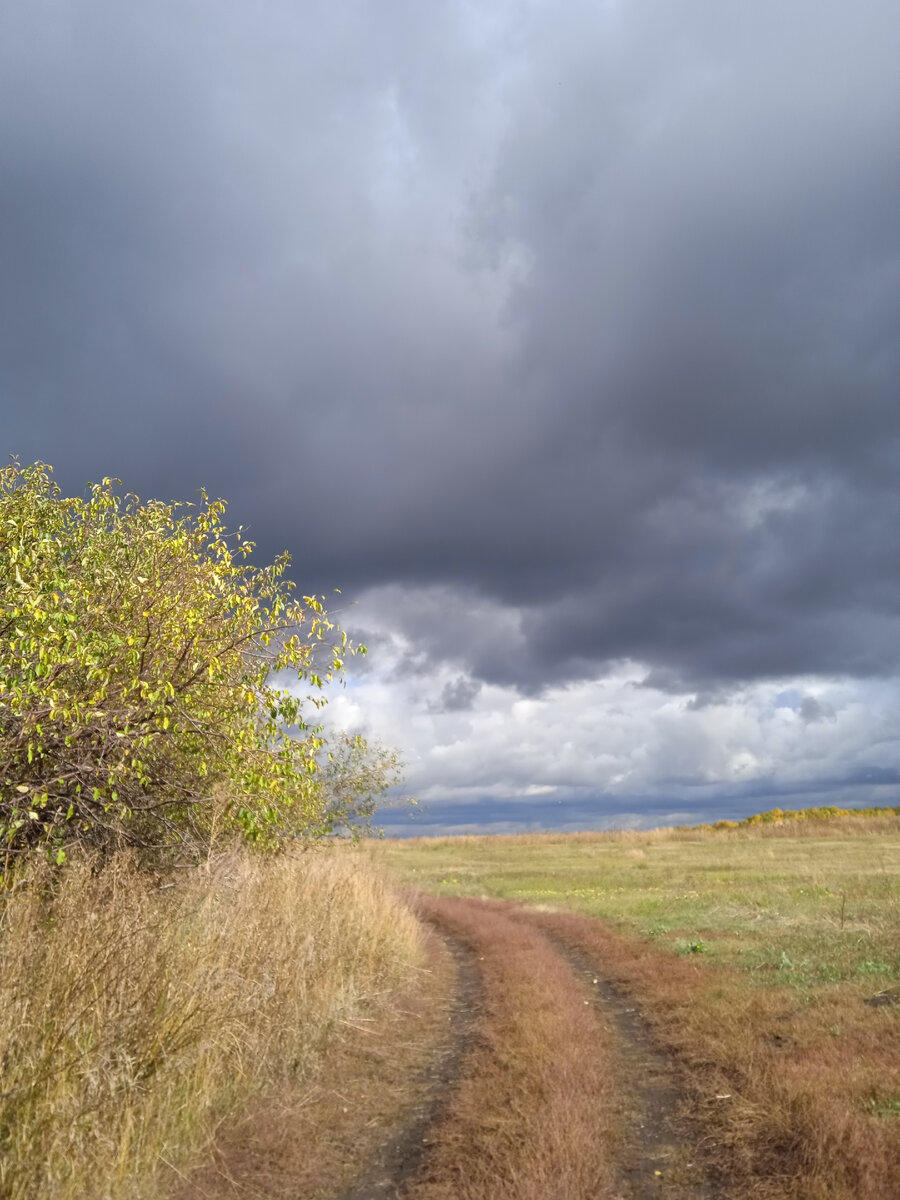 Грозное небо, перед тем, как продлится дождем 