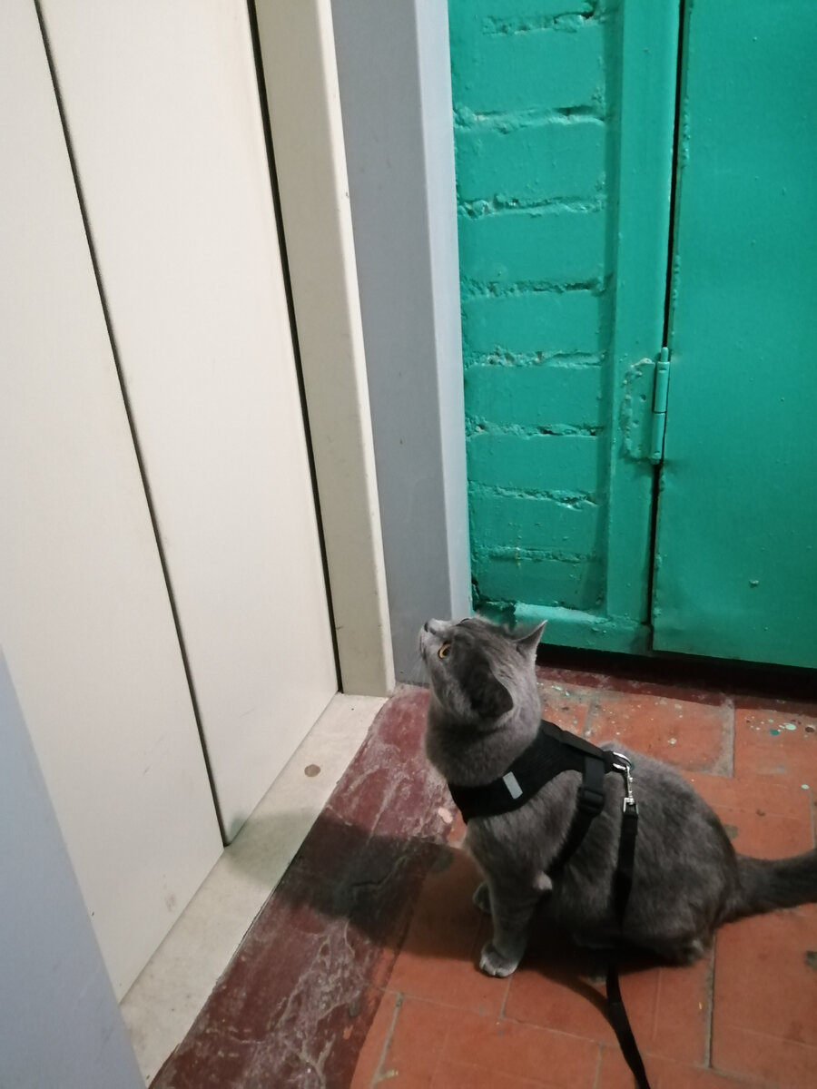 В ожидании лифта...