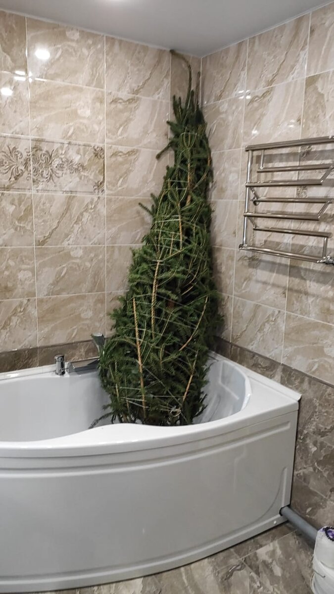 система автополива для живой елки