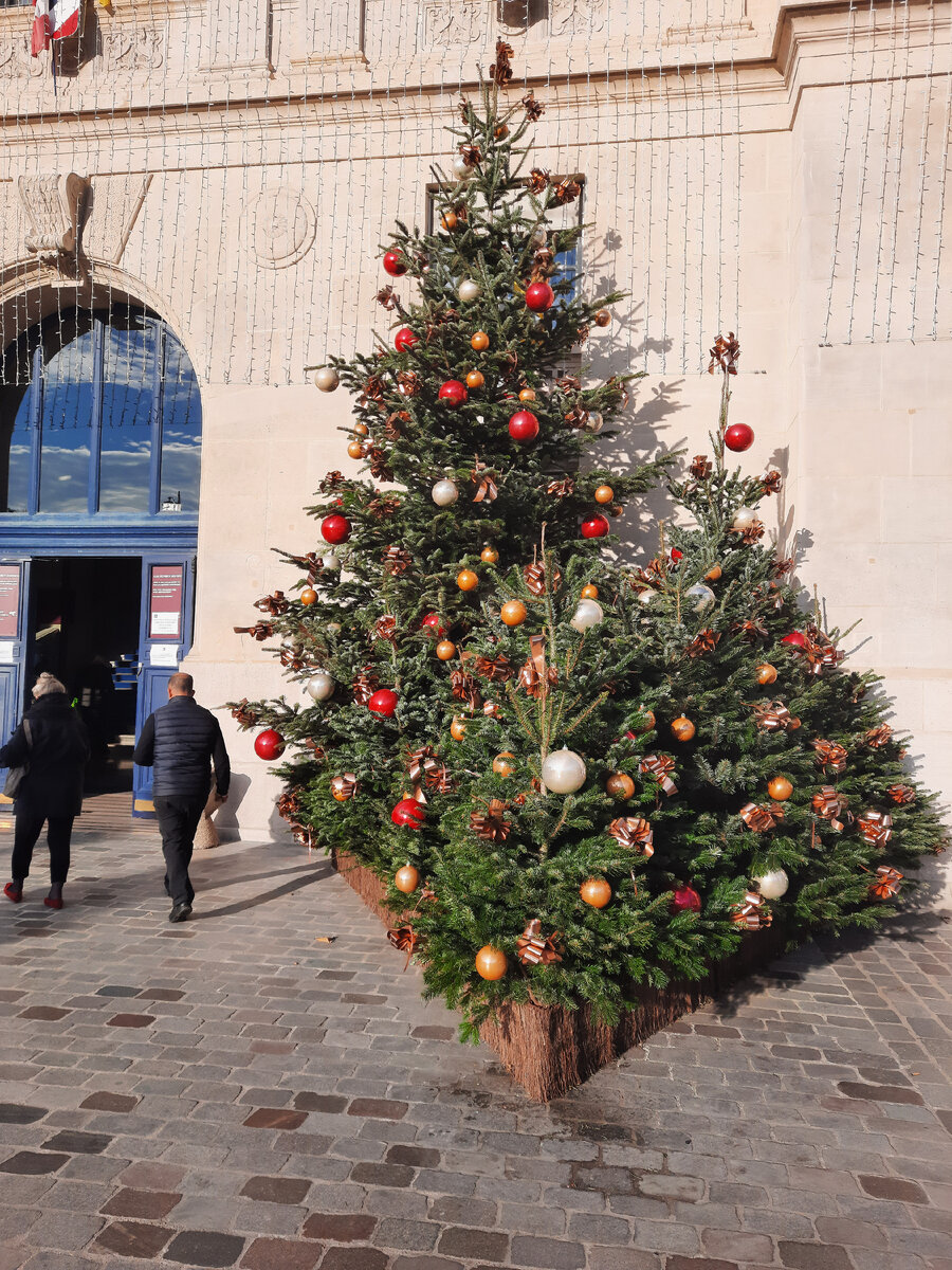 Елки возле мэрии 13 округа. Фото автора