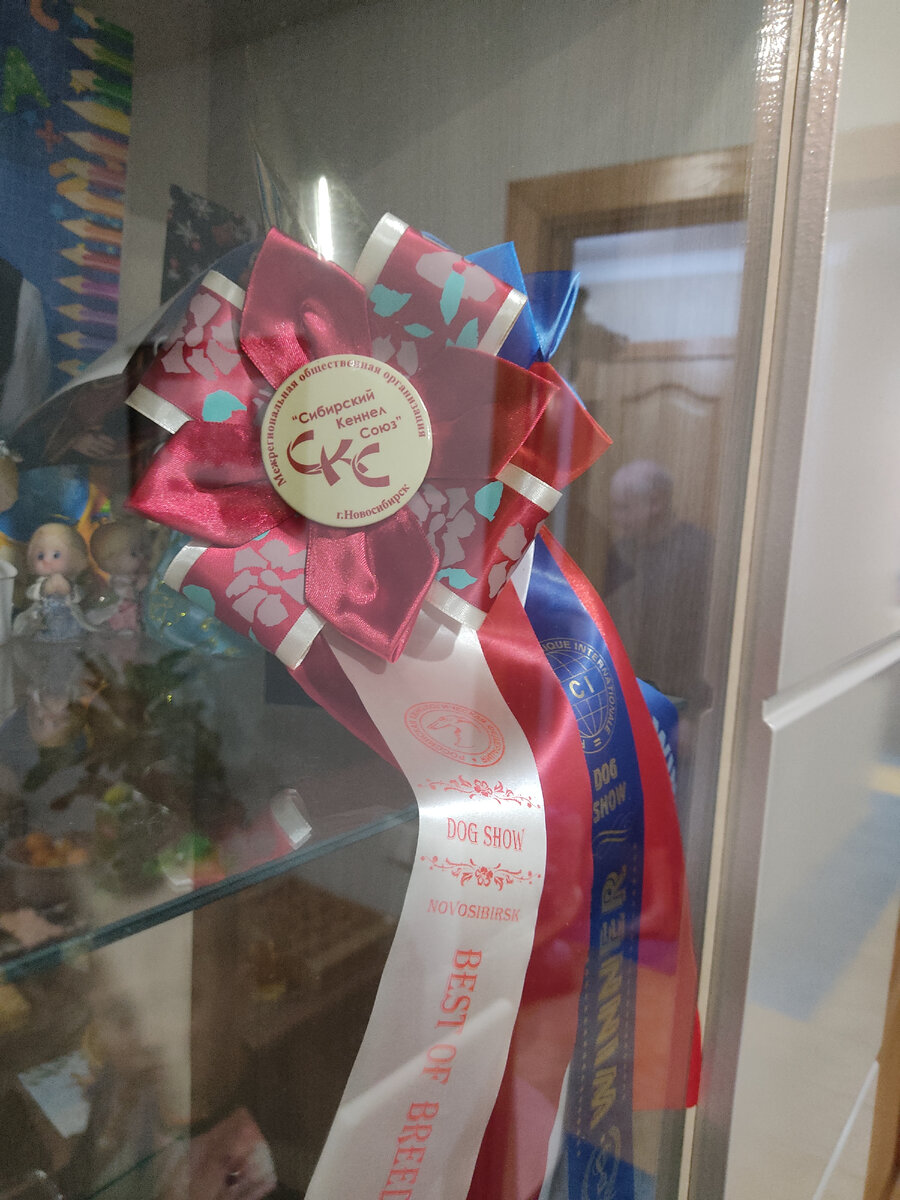 Фото автора.