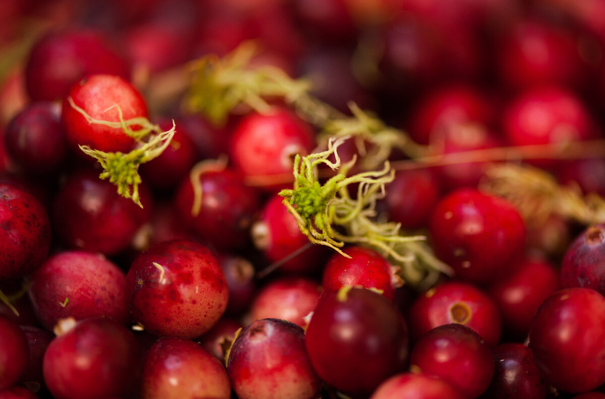 Клюква "Станция Мир"