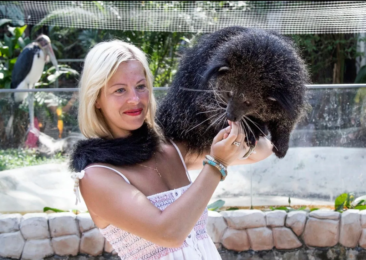 Девушка, если бинтуронг взял вас в заложники, просто моргните два раза, мы всё поймём. 