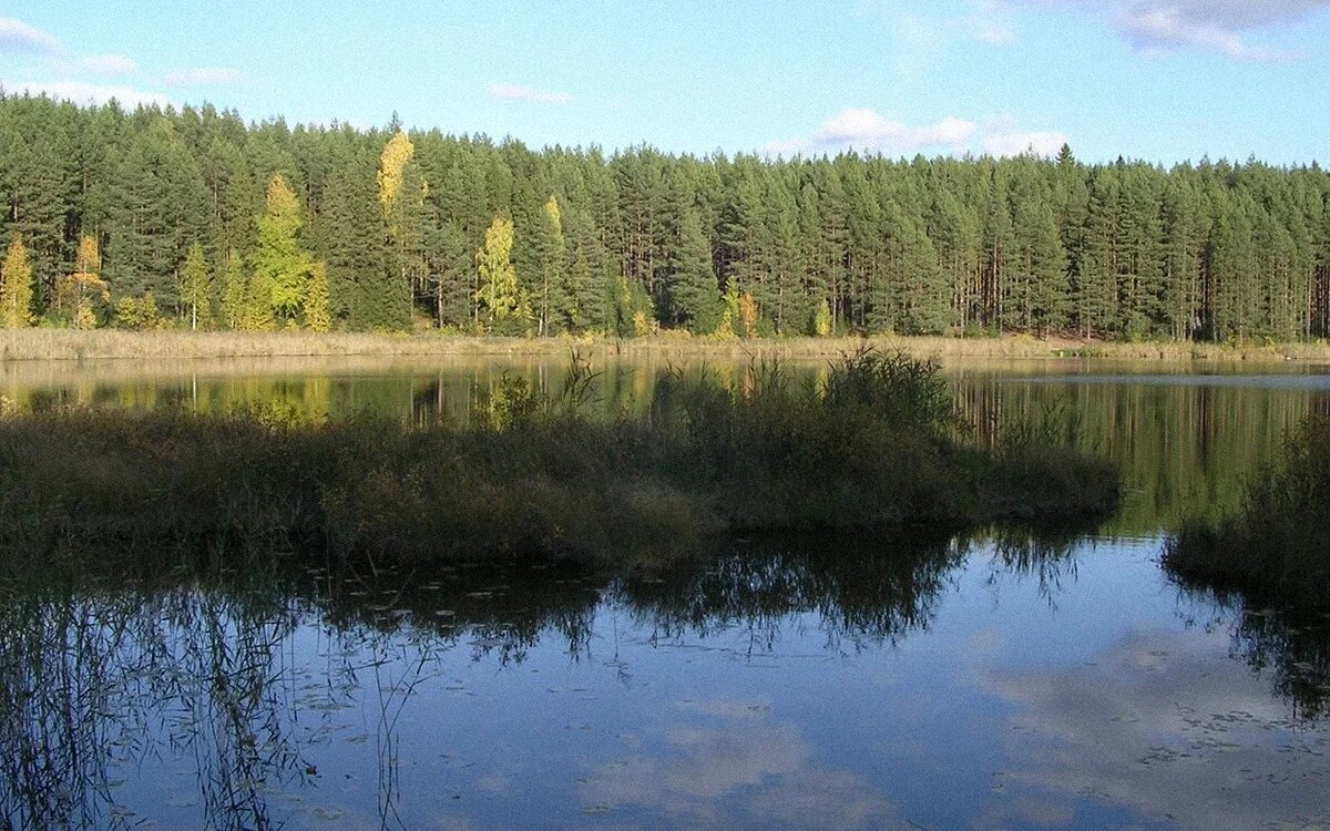 Фотография: Юрий Б.