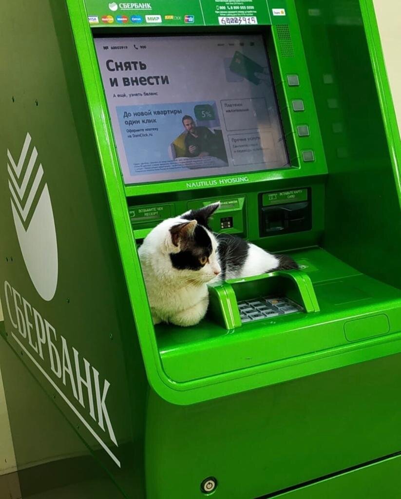 Фото из интернета. 