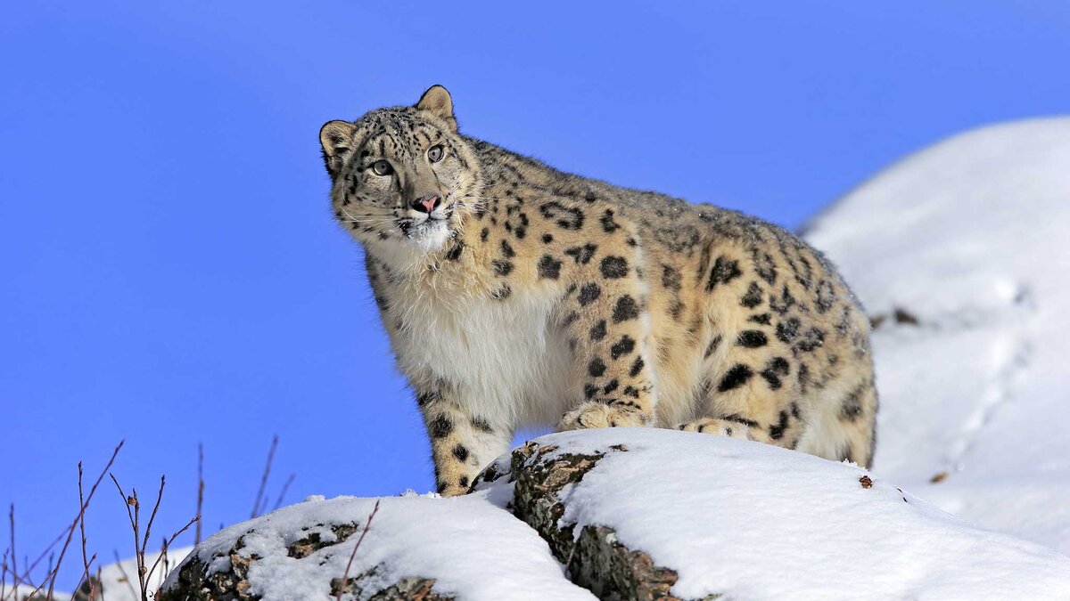 Фото: globallookpress.com