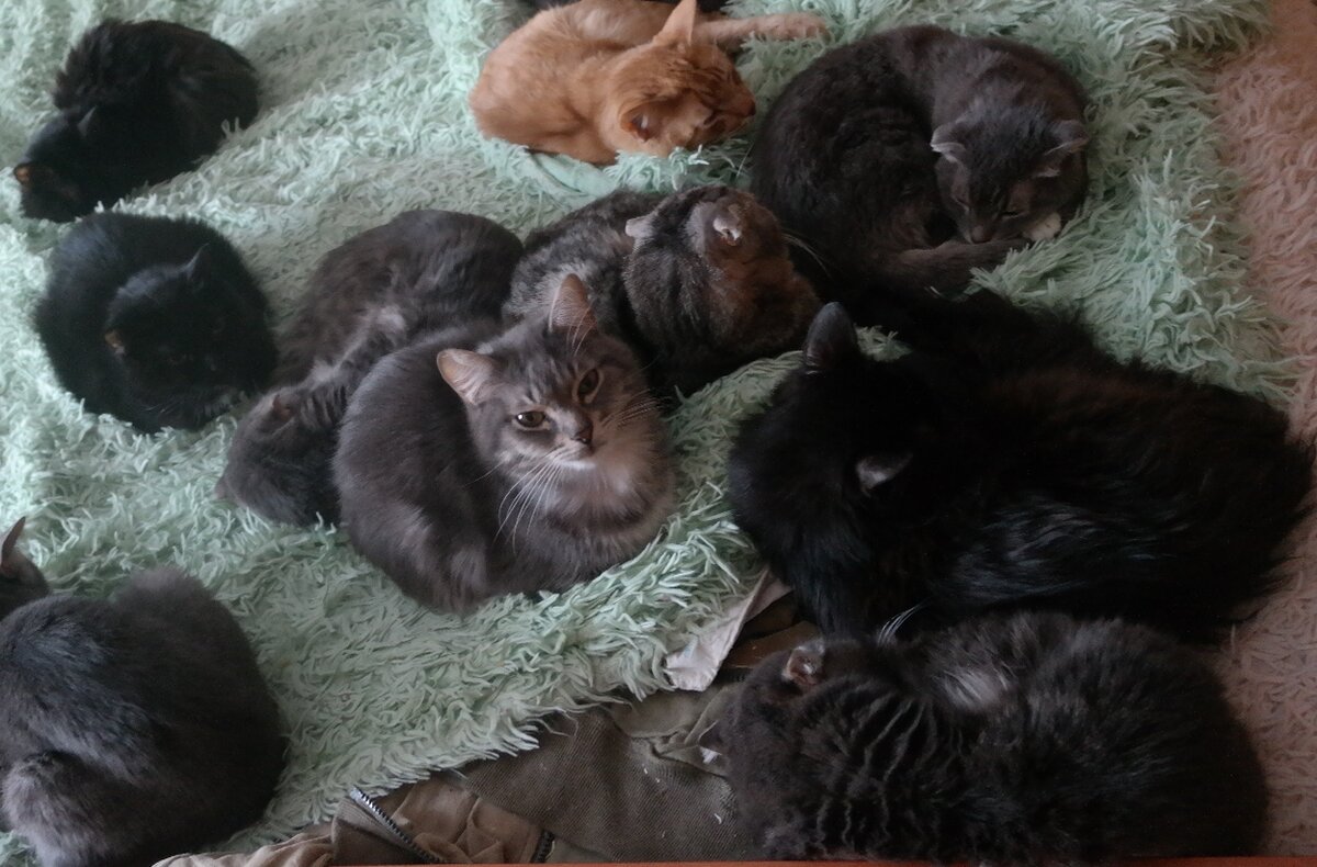 Фото из домашнего архива