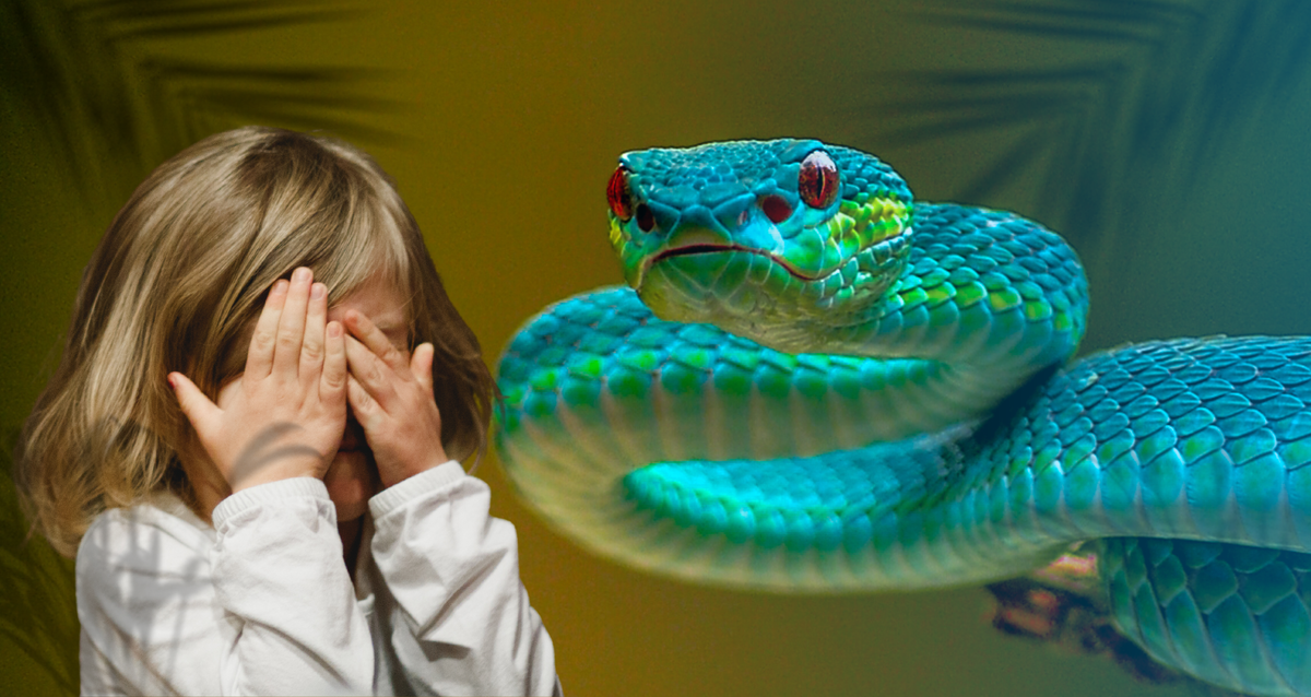 Коллаж создан автором канала в Canva 