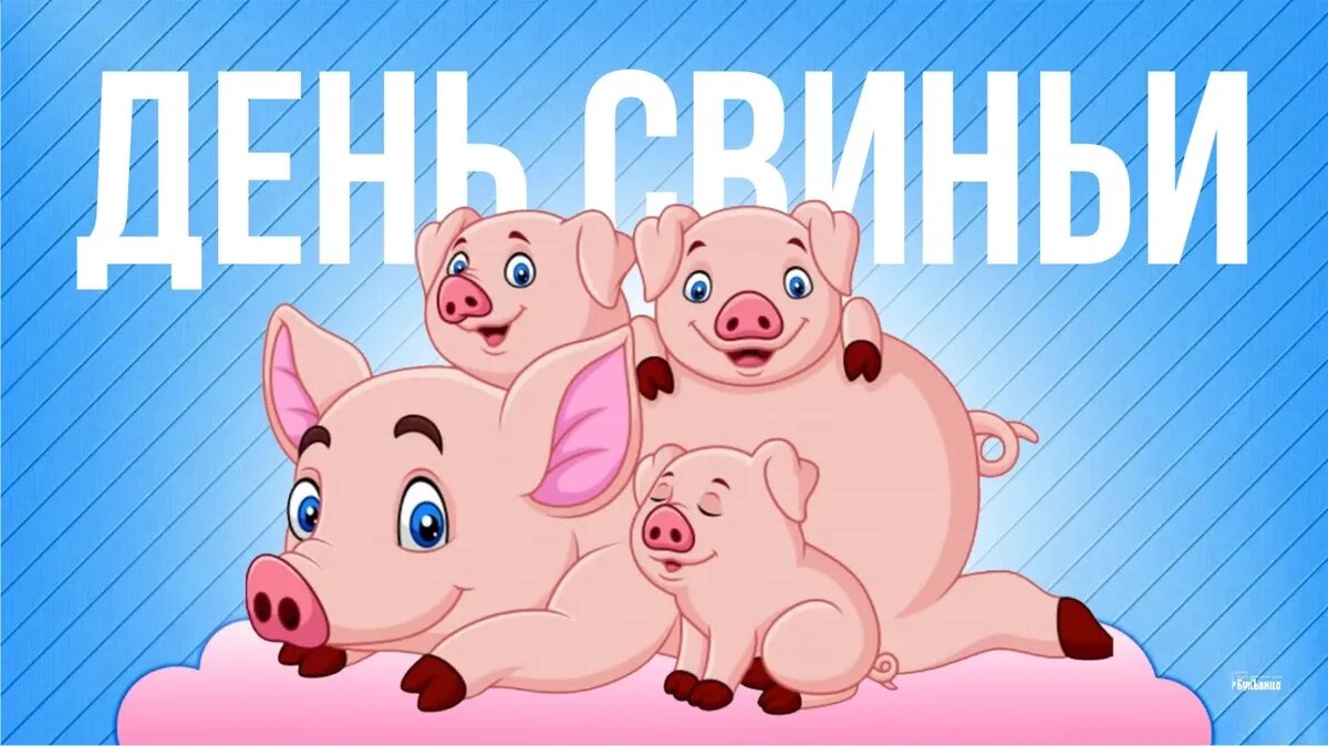 День свиньи. Иллюстрация: «Весь Искитим»