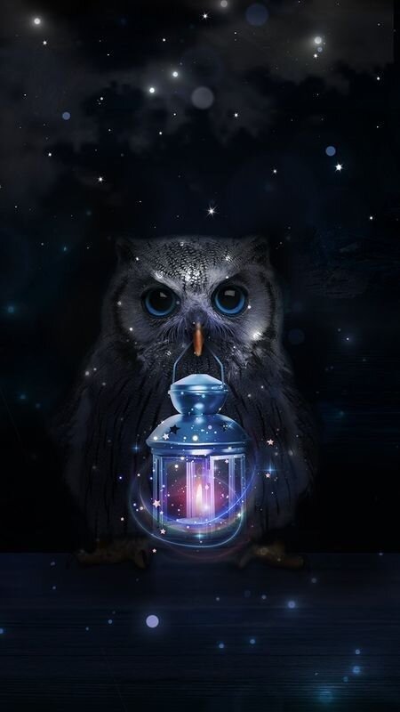 Источник фото: https://i.pinimg.com/736x/d6/05/13/d60513ab2154acbedea7b4561ec360fc.jpg