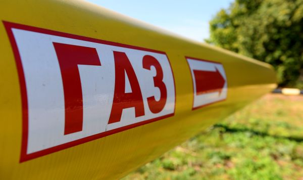 © Sputnik / Максим Богодвид