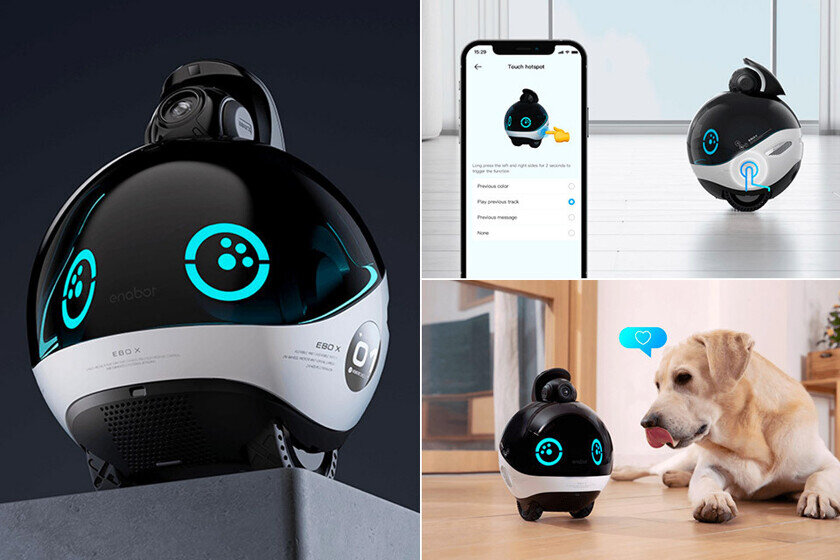    EBO X. Фото: Enabot