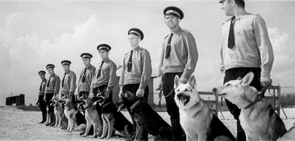 Премьера советского драматического фильма «Ко мне, Мухтар!» режиссера Семена Туманова состоялась 13 марта 1965-го года.-2