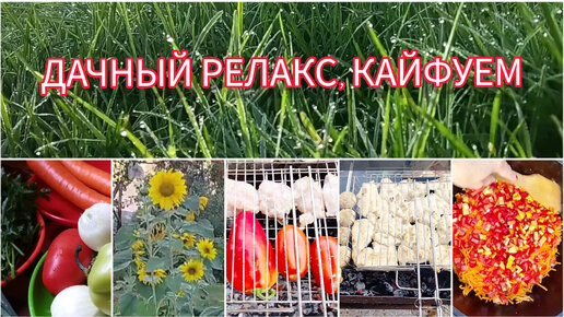 ДАЧНЫЙ РЕЛАКС, НАСЛАЖДАЕМСЯ МОМЕНТОМ 🥰