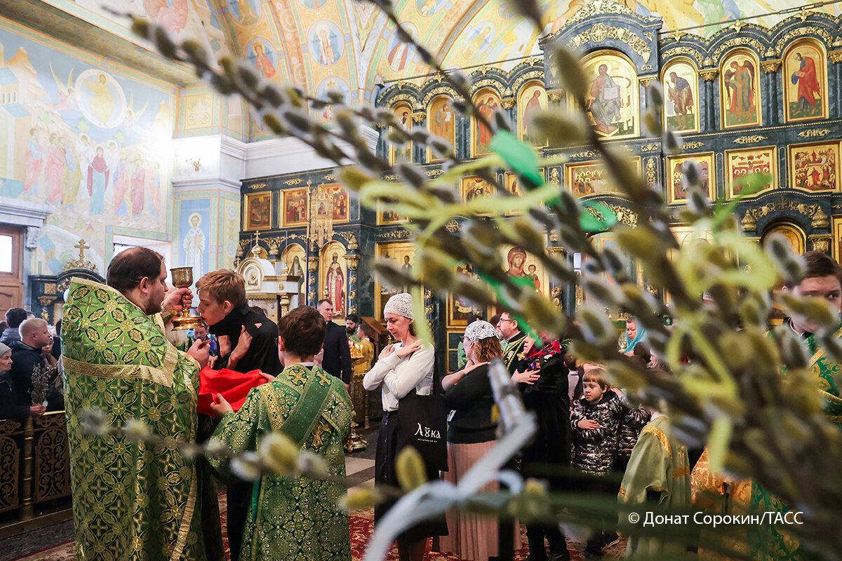    Фото: Донат Сорокин/ТАСС