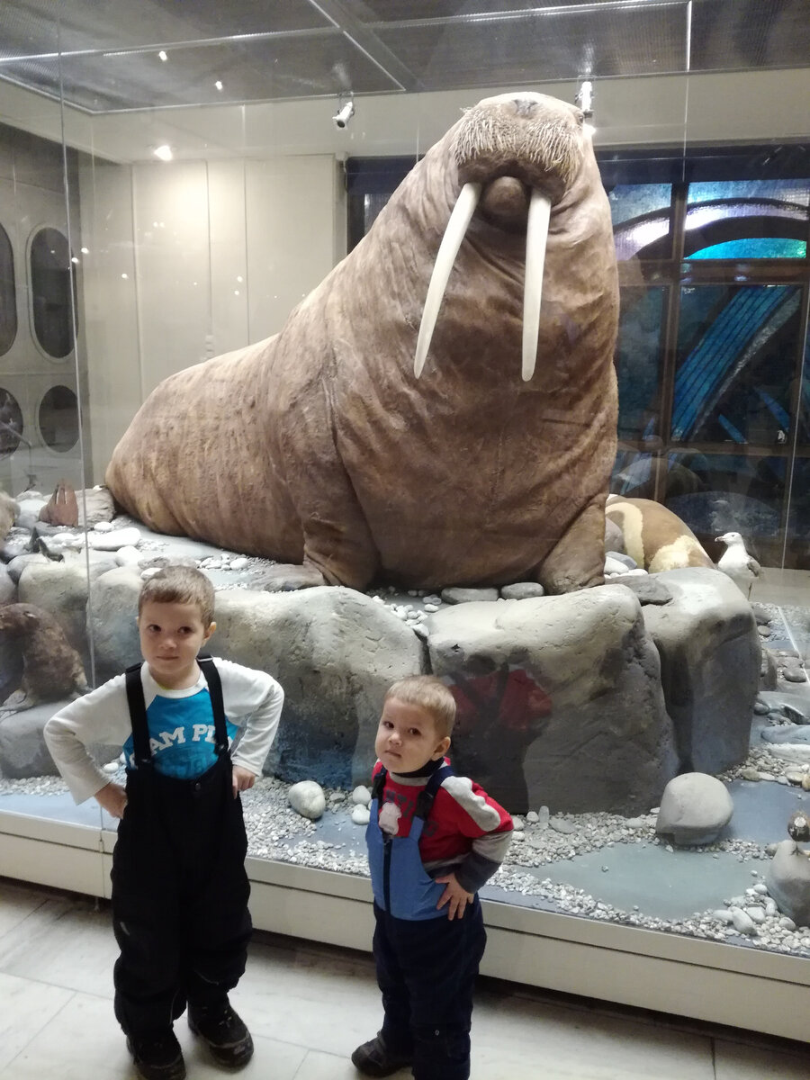 Многие животные на основных экспозициях представлены в натуральную величину!