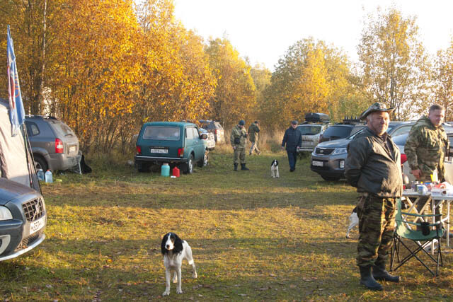 Лагерь на полевых состязаниях - клондайк всяких вкусняшек для собак