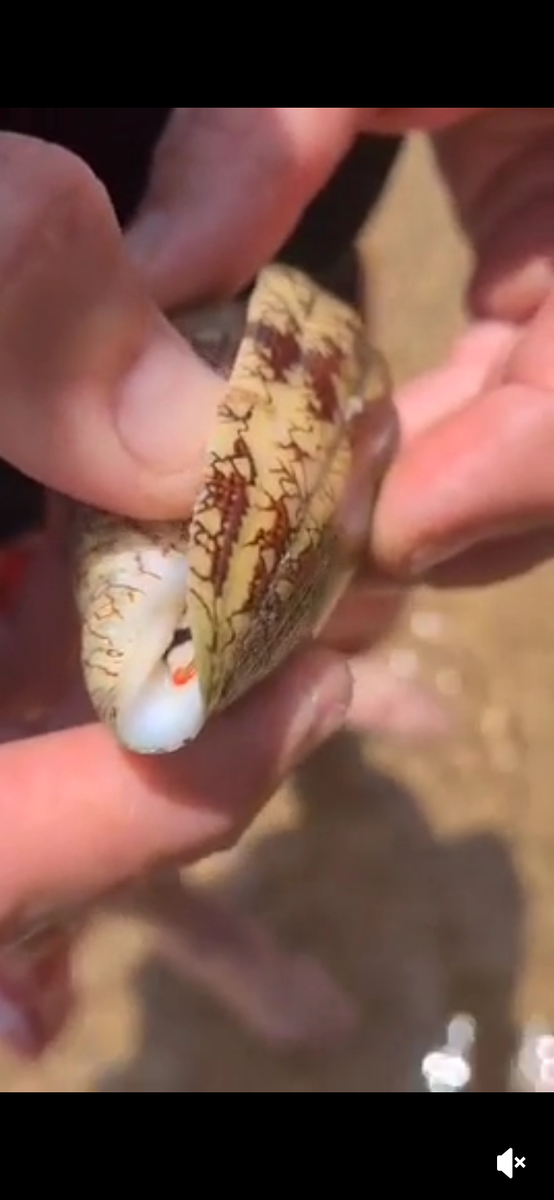 Скриншот из видео 