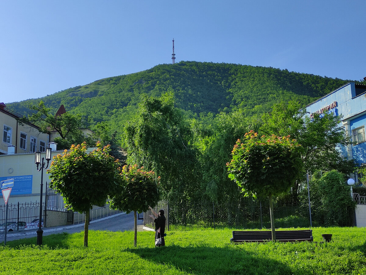 Бульвар Гагарина (июнь 2023 года)