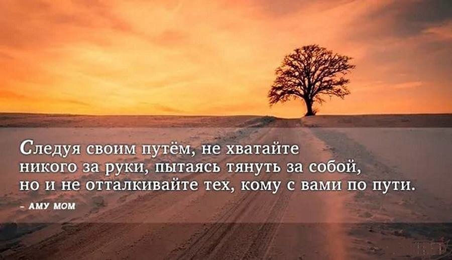 Есть три пути у человека. Фразы про путь. Цитаты про выбор. Мудрые высказывания о выборе жизненного пути. Правильные мысли цитаты.