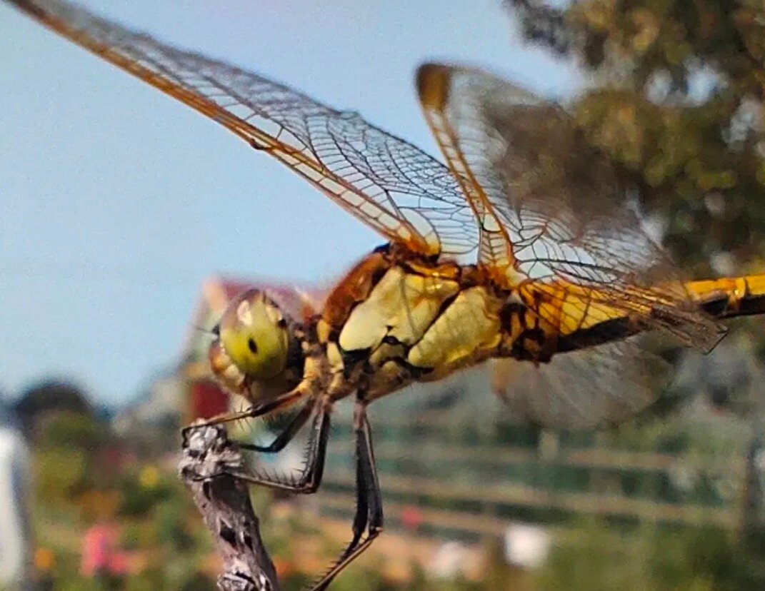 Этой замечательной фотографией со мной поделился один из читателей!