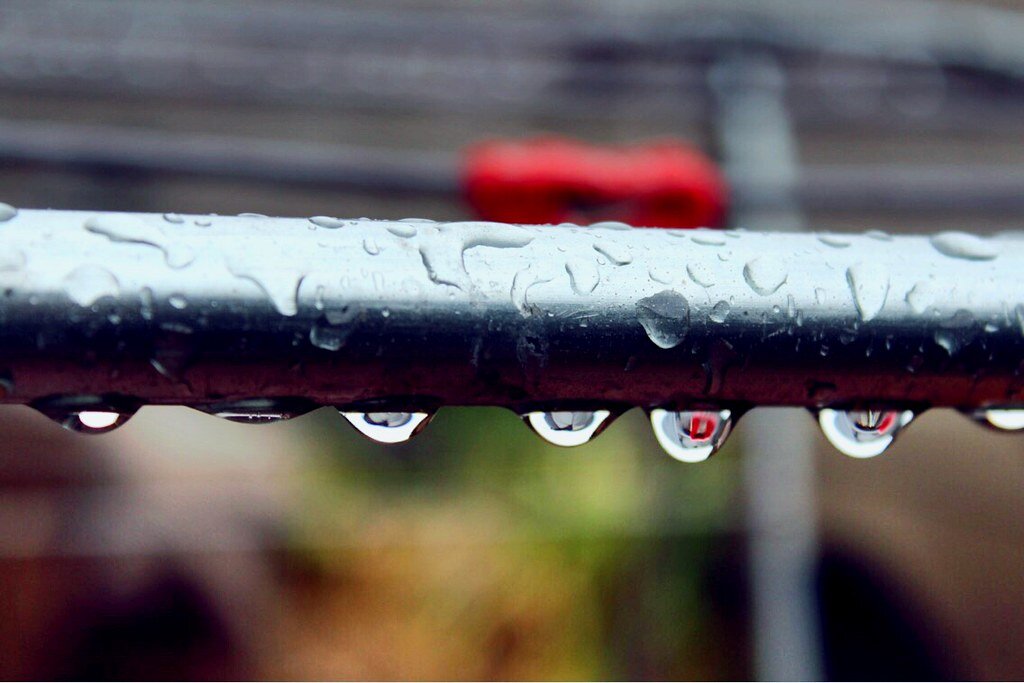 Фото: abril ibarra/Flickr