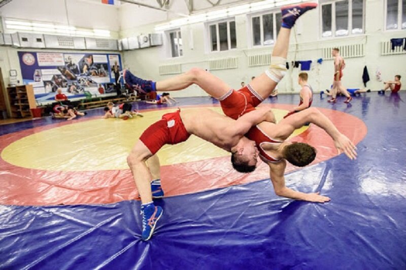 физическая подготовка борца