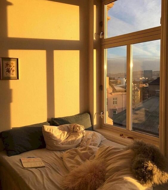 https://www.pinterest.ru/pin/561824122269745942/