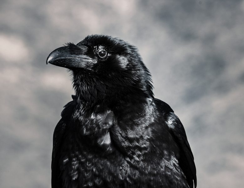  Фото автора Tom Swinnen: Pexels
