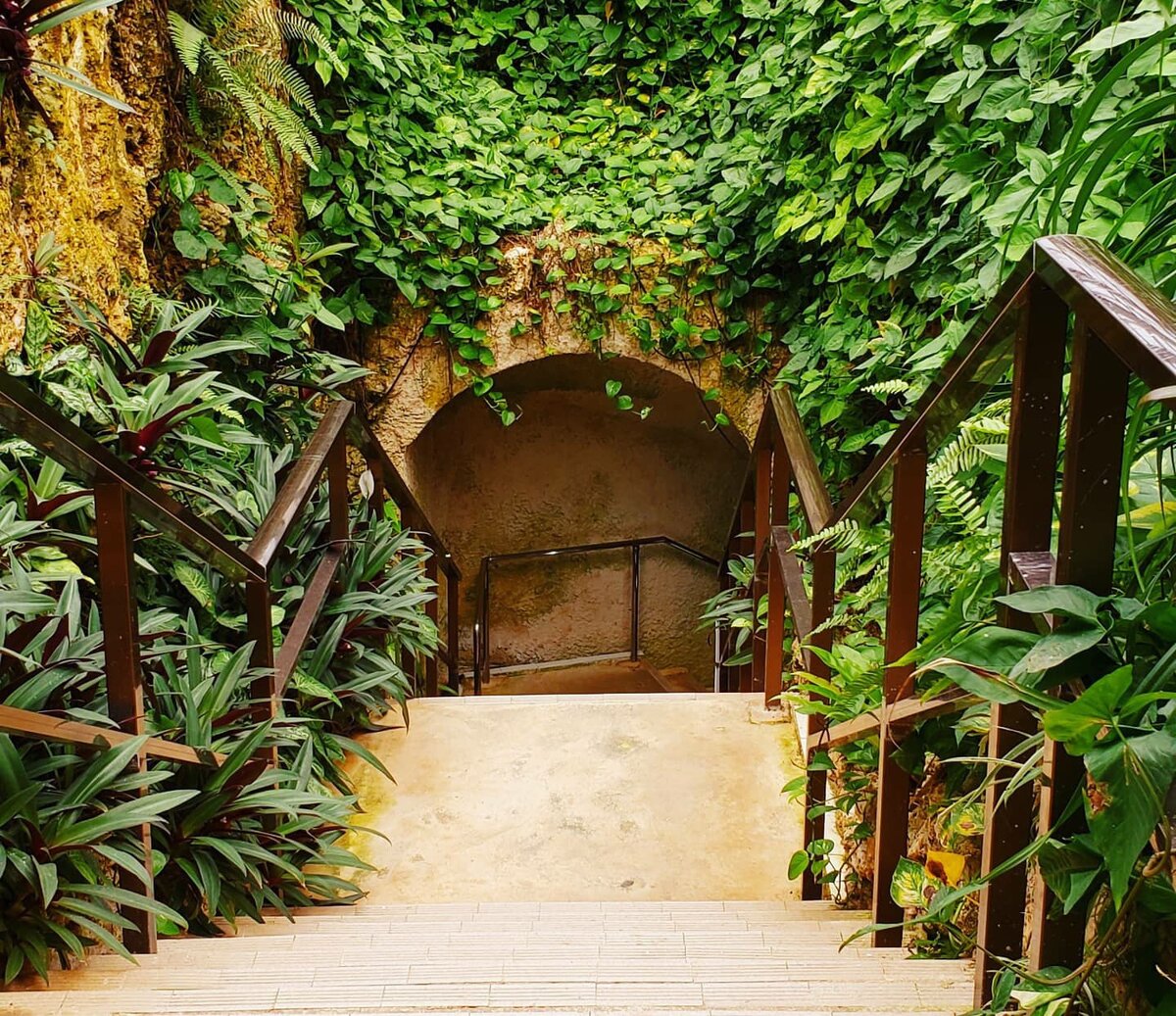 лестница в пещеры