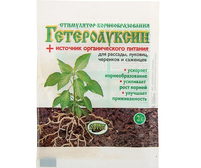 яндекс картинки